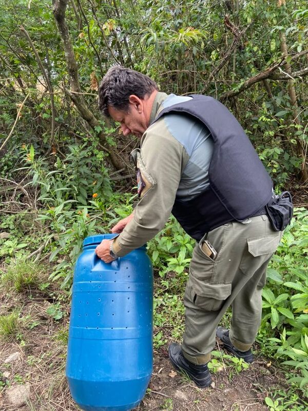 ASAS realiza soltura de jiboia em seu habitat natural