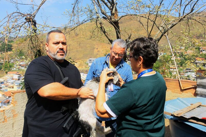 Cadela é resgatada de situação de maus-tratos após denúncia de moradores em Nova Iguaçu
