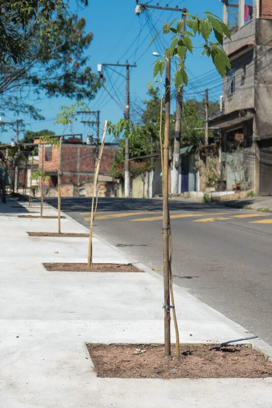 Obras de revitalização de calçadas no Mutuapira recebem paisagismo