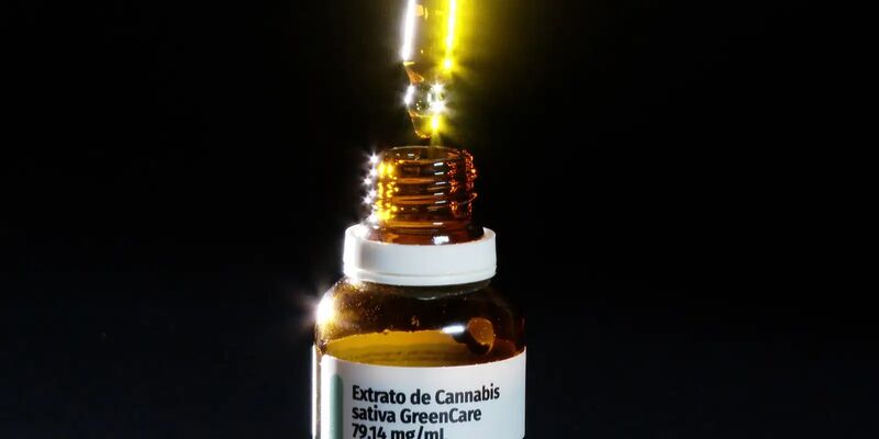 Autorizações para importação de cannabis aumentam 29% em 2026