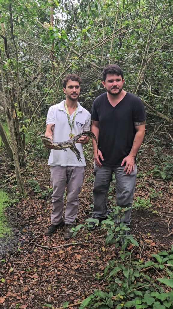 ASAS devolve dois jacarés e dois cágados à natureza