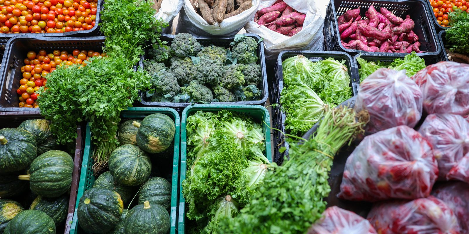 Segurança alimentar exige esforço coletivo e articulação